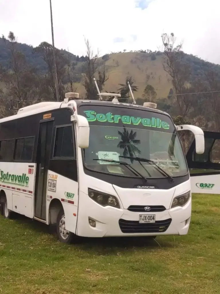 Bus turismo